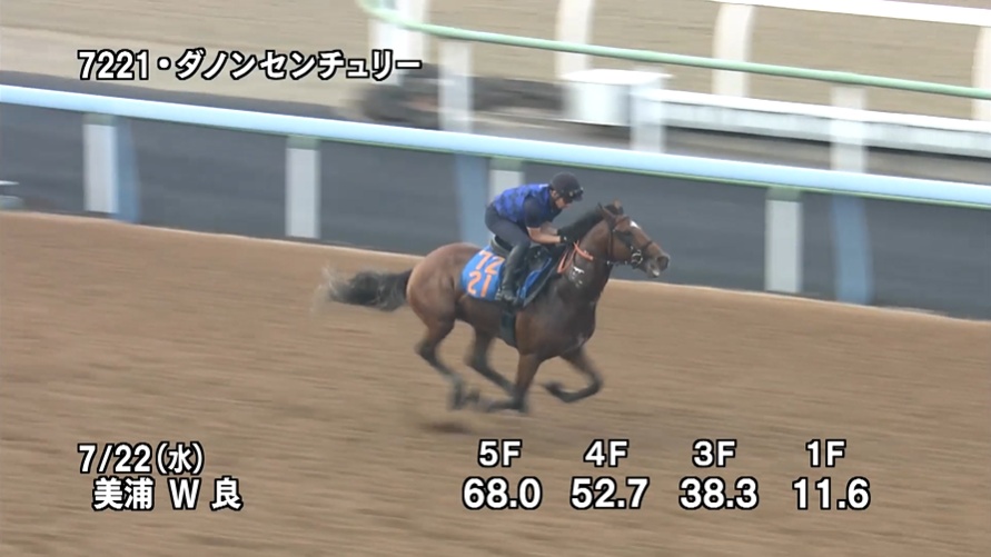 関屋記念2026 追い切り