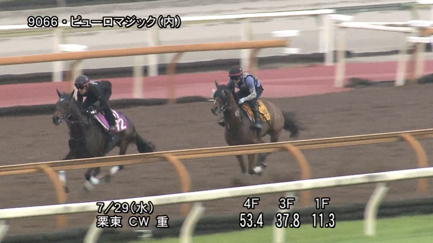 アイビスサマーダッシュ2026 追い切り