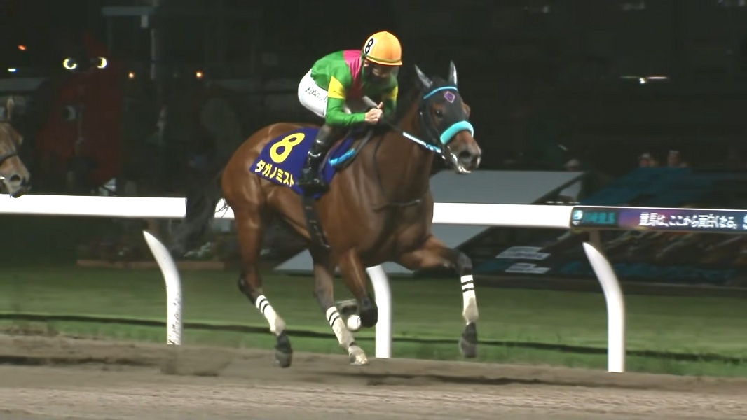 スパーキングレディーカップ2026 タガノミスト