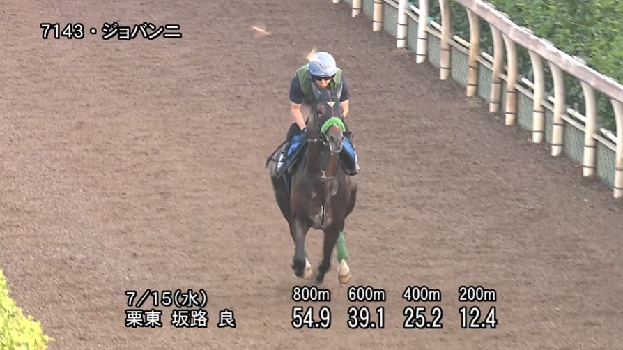 小倉記念2026 追い切り