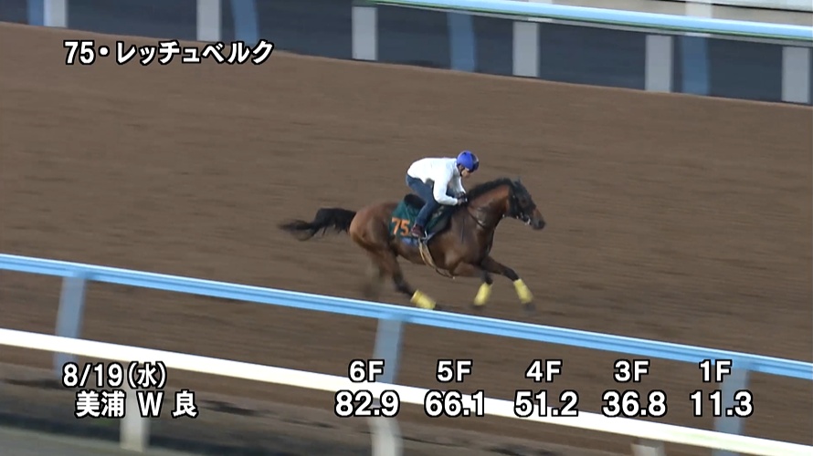 新潟2歳ステークス2026 追い切り