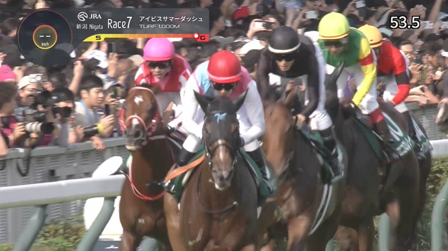 アイビスサマーダッシュ2026 ピューロマジック