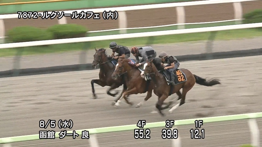 エルムステークス2026 追い切り