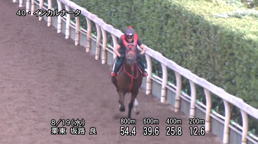 新潟2歳ステークス2026 追い切り
