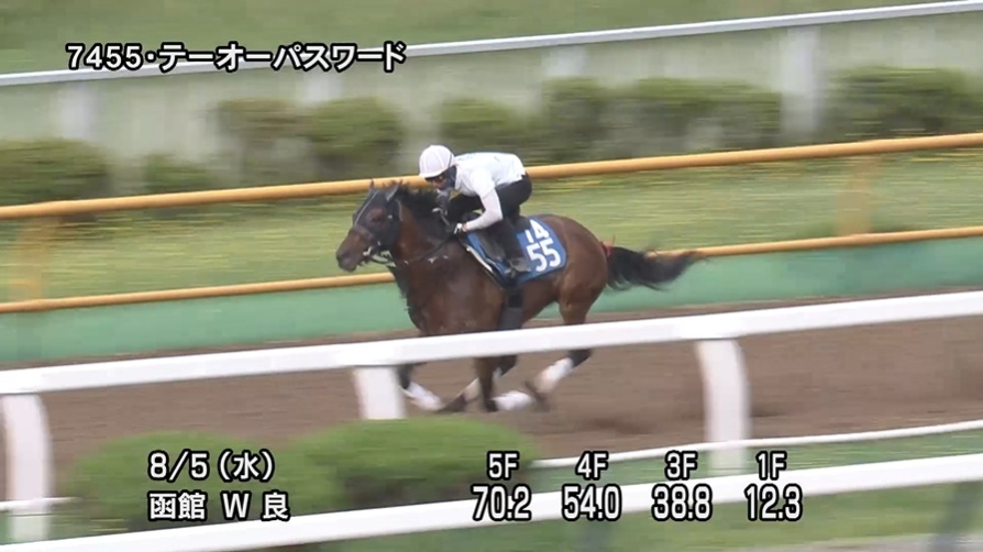 エルムステークス2026 追い切り