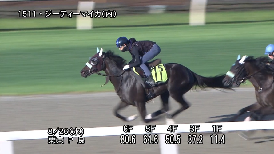 中京2歳ステークス2026 追い切り