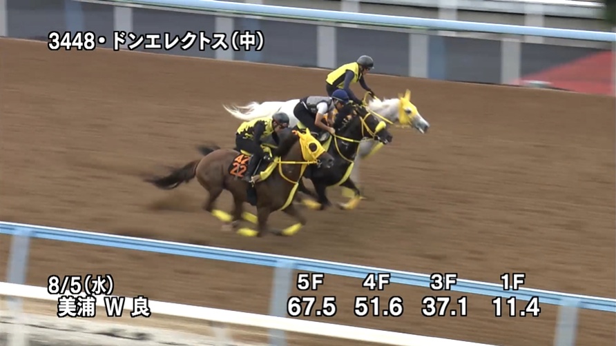 レパードステークス2026 追い切り