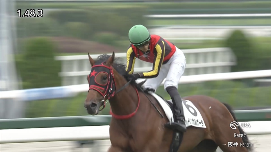 新潟2歳ステークス2026出走予定馬 インカルナータ