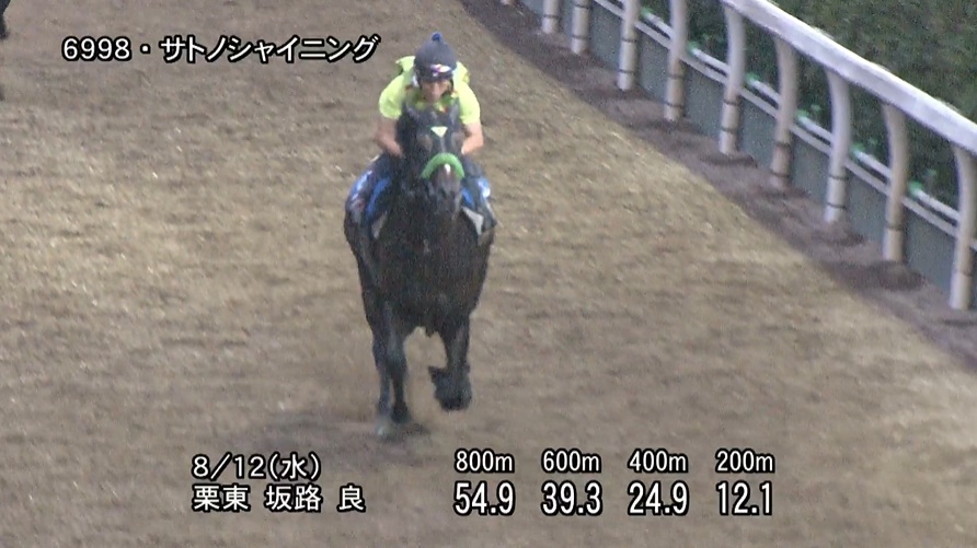 中京記念2026 追い切り
