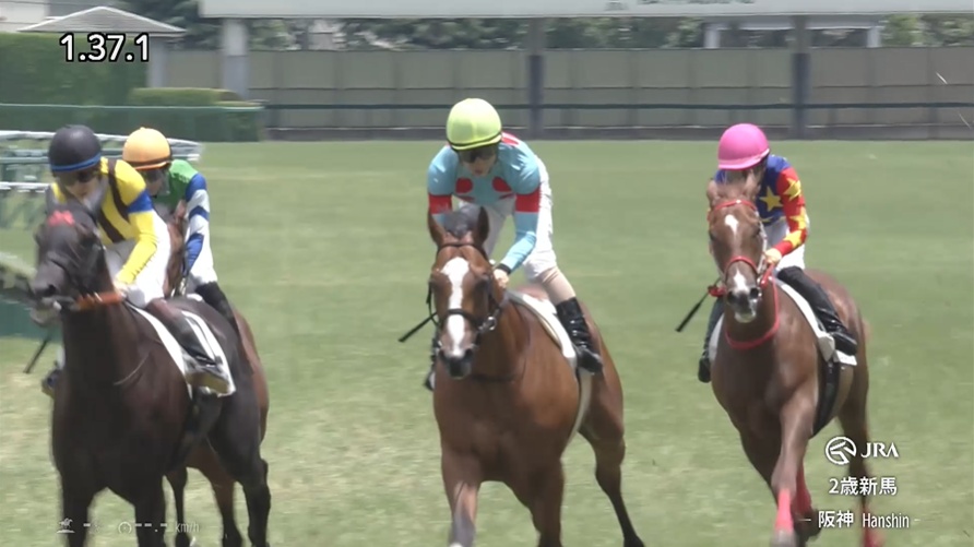 新潟2歳ステークス2026出走予定馬 トップチェッカー
