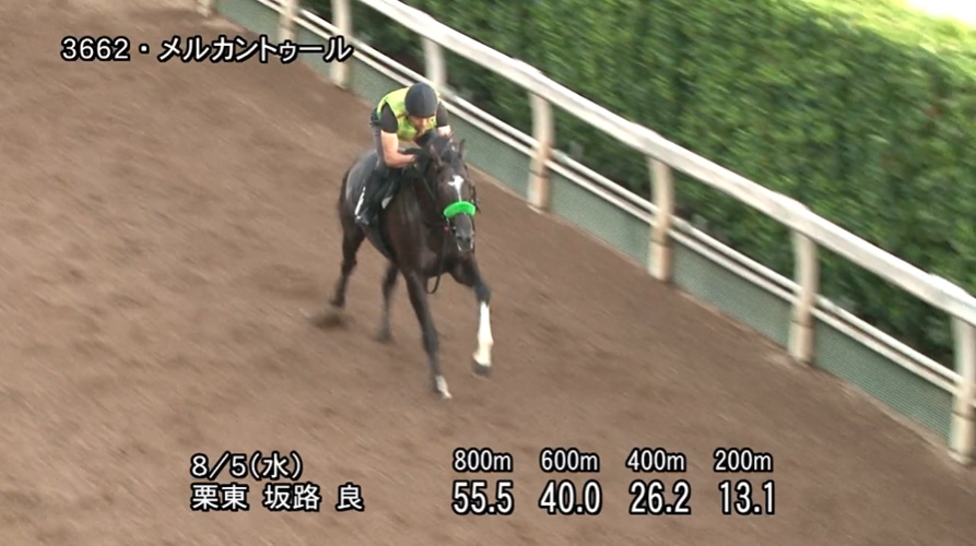 レパードステークス2026 追い切り