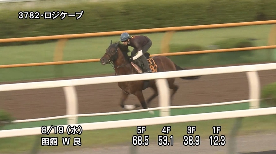 キーンランドカップ2026 追い切り