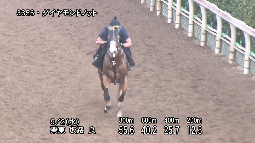 セントウルステークス2026 追い切り