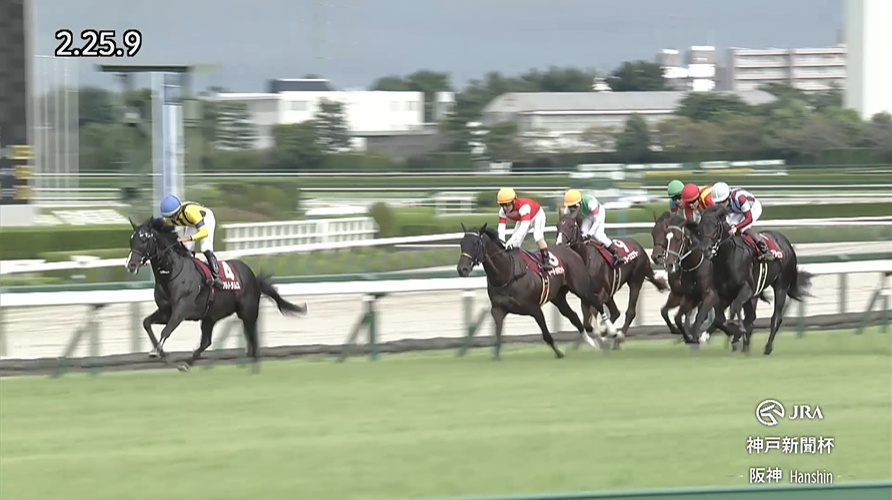神戸新聞杯2026 ロブチェン