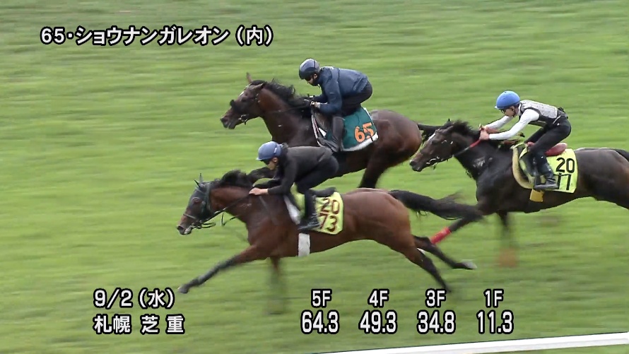 札幌2歳ステークス2026 追い切り