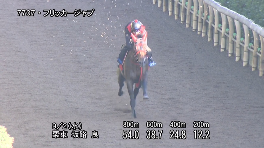 セントウルステークス2026 追い切り