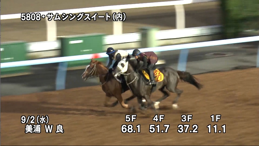 紫苑ステークス2026 追い切り