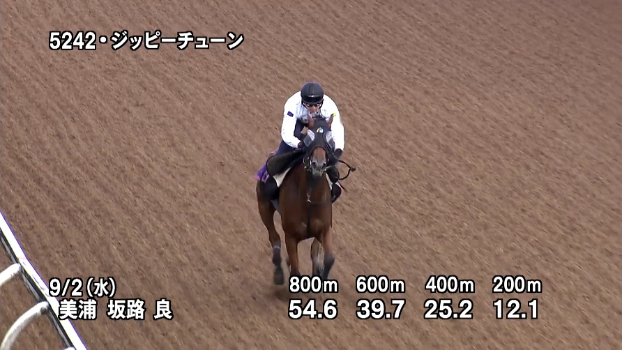 紫苑ステークス2026 追い切り