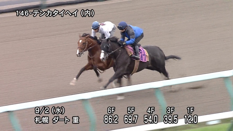 札幌2歳ステークス2026 追い切り