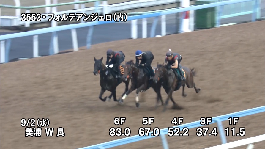 京成杯オータムハンデ2026 追い切り