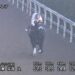 高松宮記念2023 追い切り